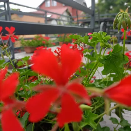 Miramar منزل للإقامة