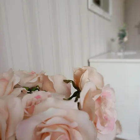 منزل للإقامة Miramar