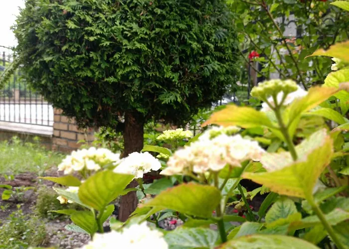 Δωμάτια σε οικογενειακή κατοικία Miramar *