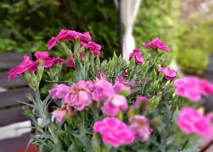 Miramar Δωμάτια σε οικογενειακή κατοικία *